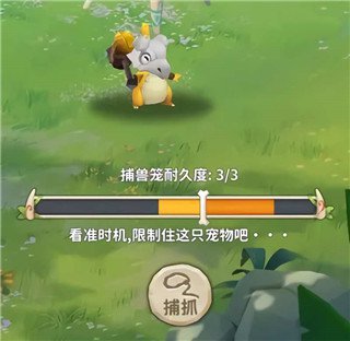 怎么召唤宠物配图2