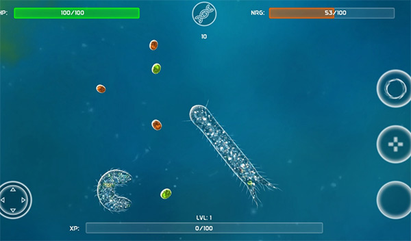 孢子的起源游戏