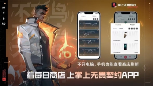 掌上无畏契约游戏助手