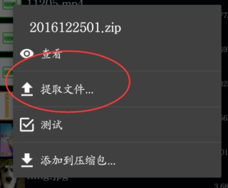 Zarchiver老外管理器绿色版本