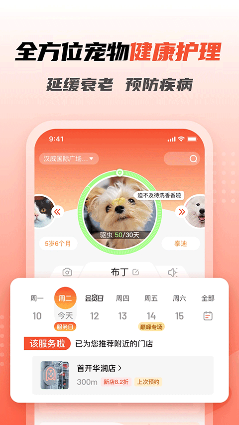 宠物家app
