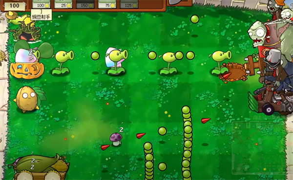 植物大战僵尸吃不了席版