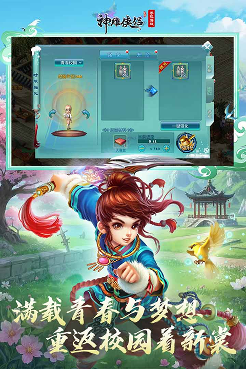 神雕侠侣果盘版