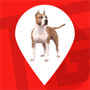 大商天狗网苹果版