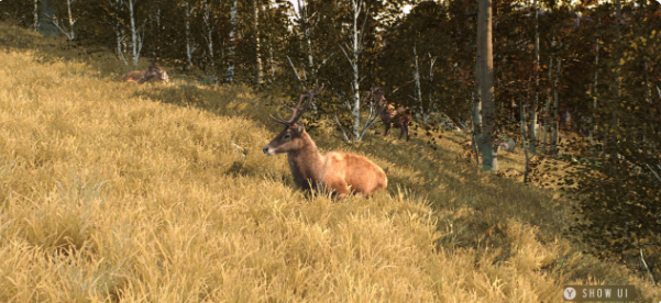 猎人之道狂野欧洲