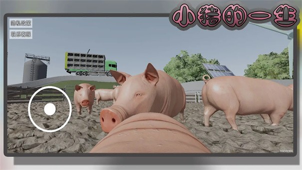 小猪一生模拟