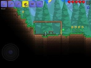 泰拉瑞亚1.4.4.9中文国际版