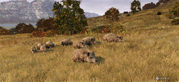 猎人之路狂野欧洲