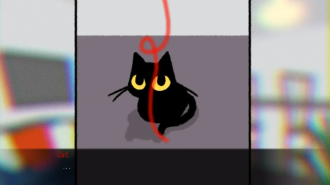 别带这只猫回家