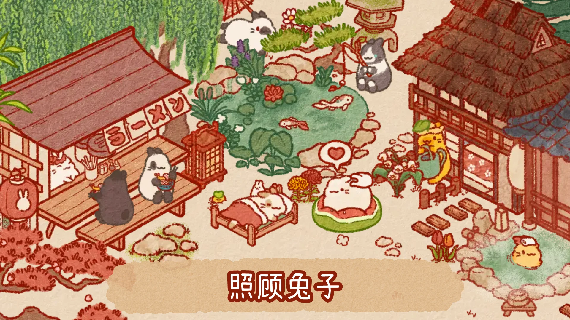 兔兔岛官方正版