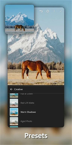 lightroom安卓免费版