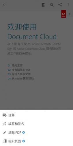 AdobeReader