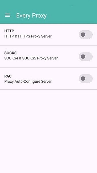 every proxy中文版