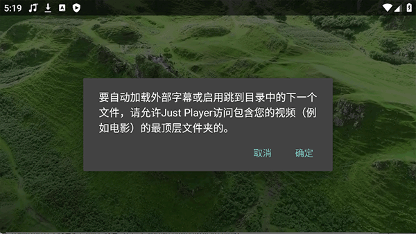 just player播放器