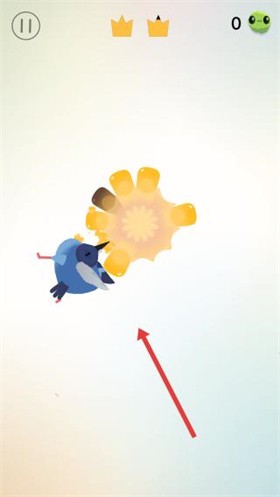 疯狂的鸽子全皮肤版