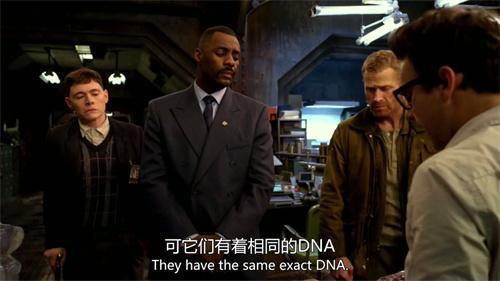 海狗视频免费追剧安装包