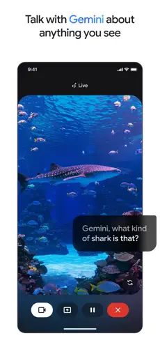 google gemini中文版