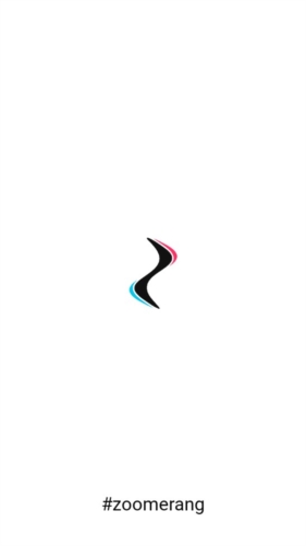 Zoomerang专业版功能