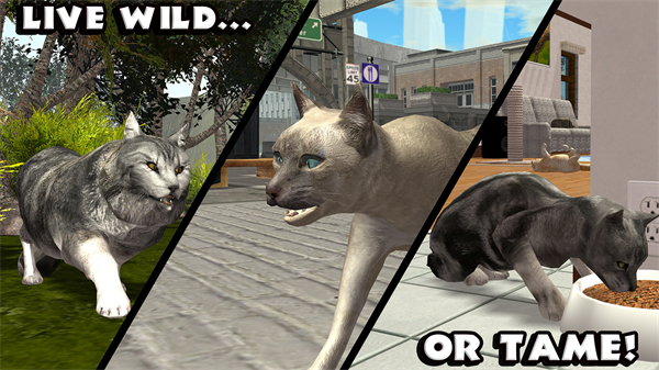 终极猫模拟器破解版中文版