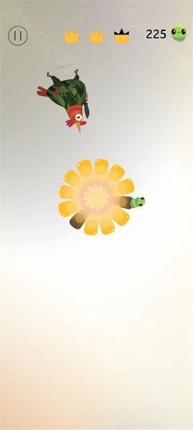 疯狂的鸽子手游