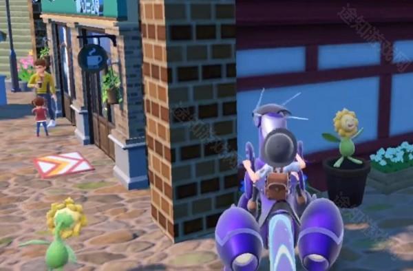 如何找向日葵截图3