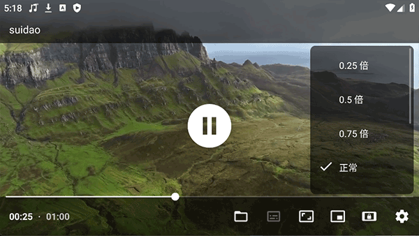 just player播放器
