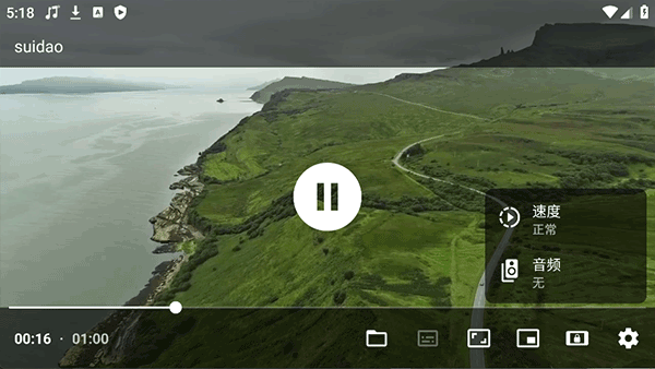just player播放器