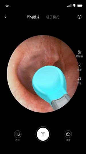 bebird采耳最新官方版