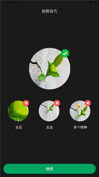 PictureThis中文破解版