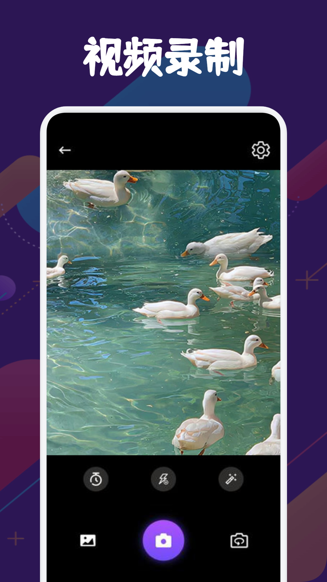 SD视频软件下载手机版
