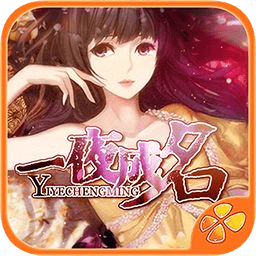 一夜成名免费版
