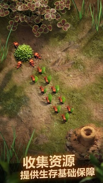 蚂蚁地下王国游戏(The Ants)