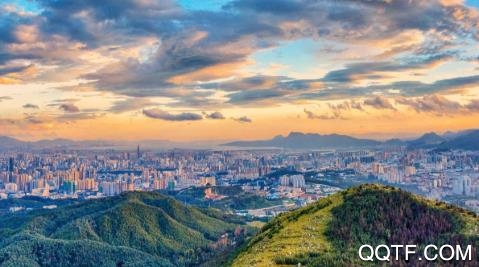 掌上春城app最新版