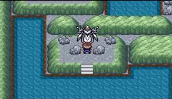 口袋妖怪口袋暴龙自带作弊版