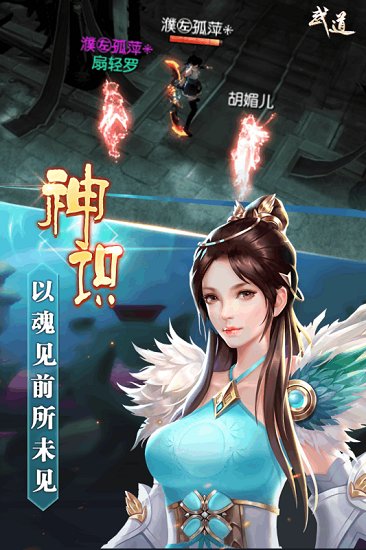 武道 武道游戏下载