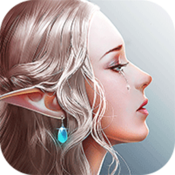 剑与魔法师bt满v版