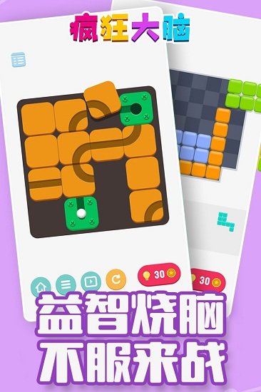 疯狂大脑免费版