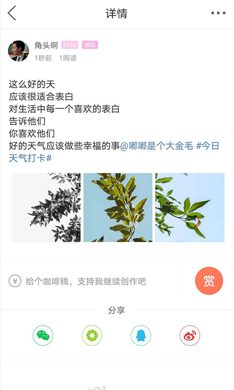 自贡在线西秦会馆盐都杂谈