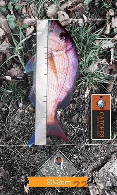 钓鱼人潮汐天气软件