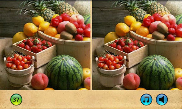 大家来找茬游戏