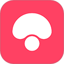 蘑菇街2025最新版