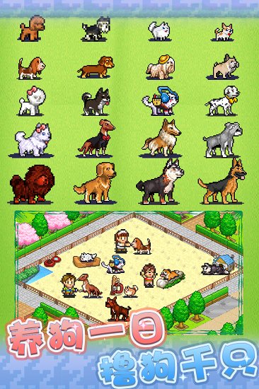 发现狗狗乐园游戏