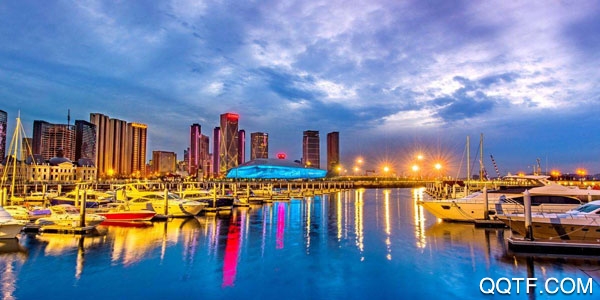 东港融媒安卓版App