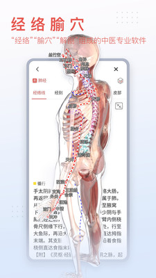 3Dbody解剖最新版