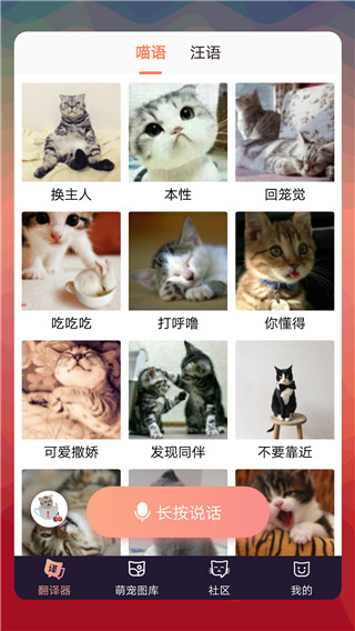 猫咪对话翻译器