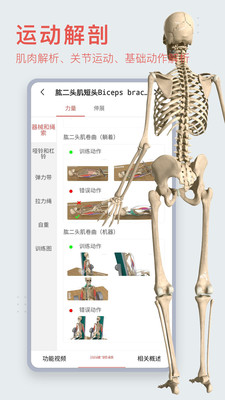 3Dbody解剖最新版