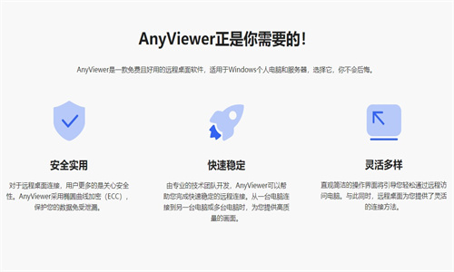 anyviewer