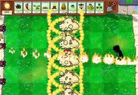 植物大战僵尸吃不了席版