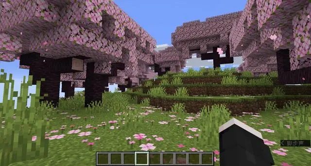 我的世界国际服