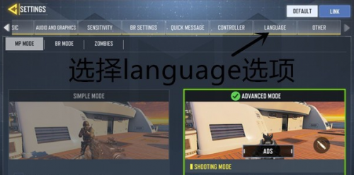 call of duty国际服